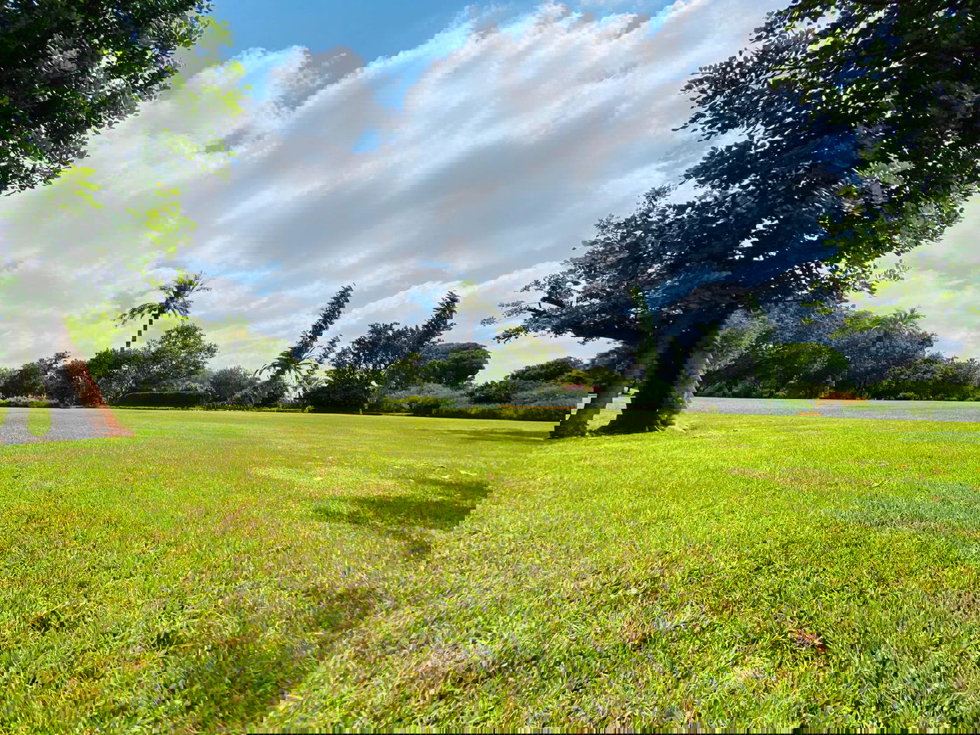 גלריה מרהיבה מגן רמת הנדיב בזכרון יעקב