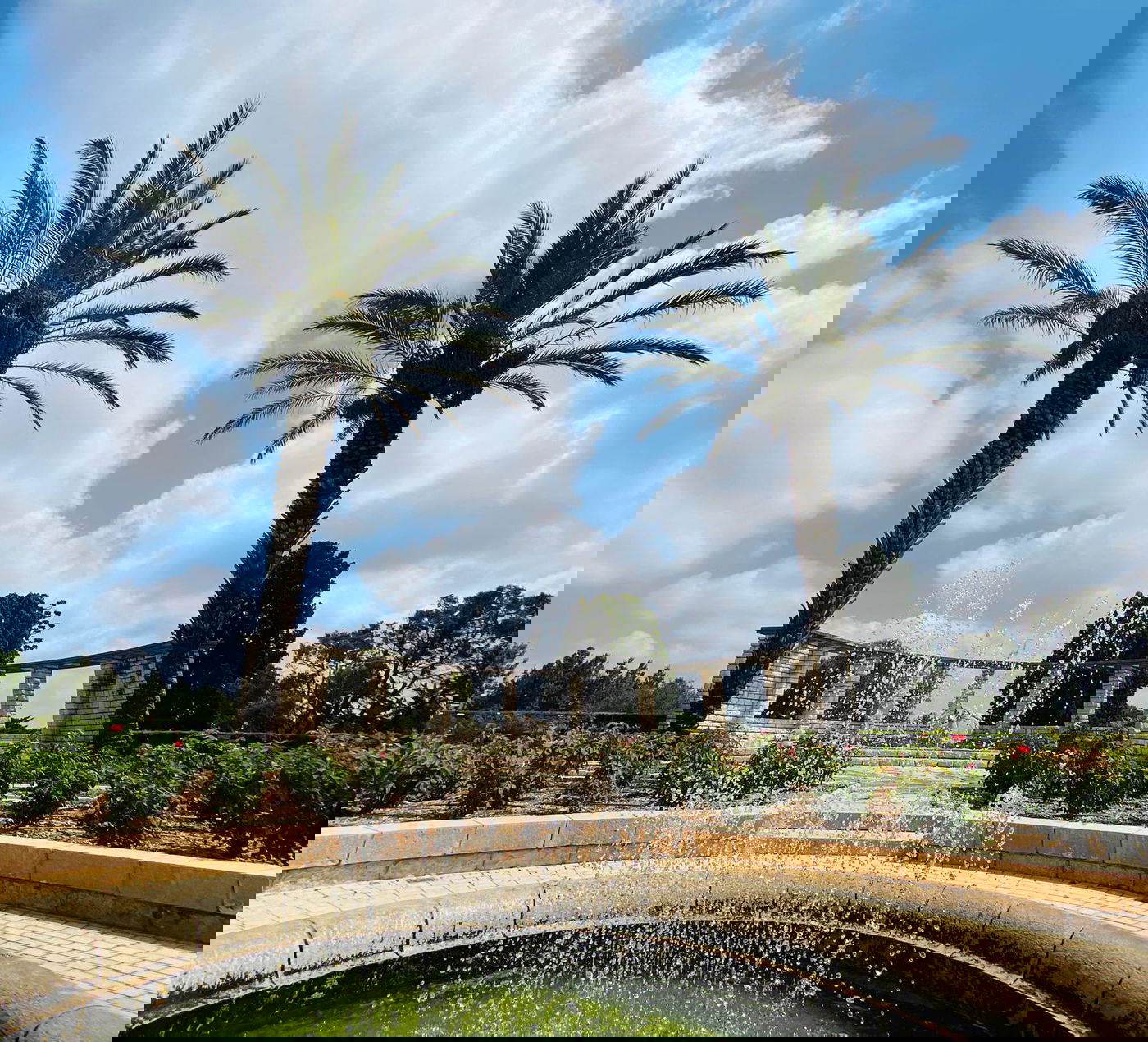 גלריה מרהיבה מגן רמת הנדיב בזכרון יעקב