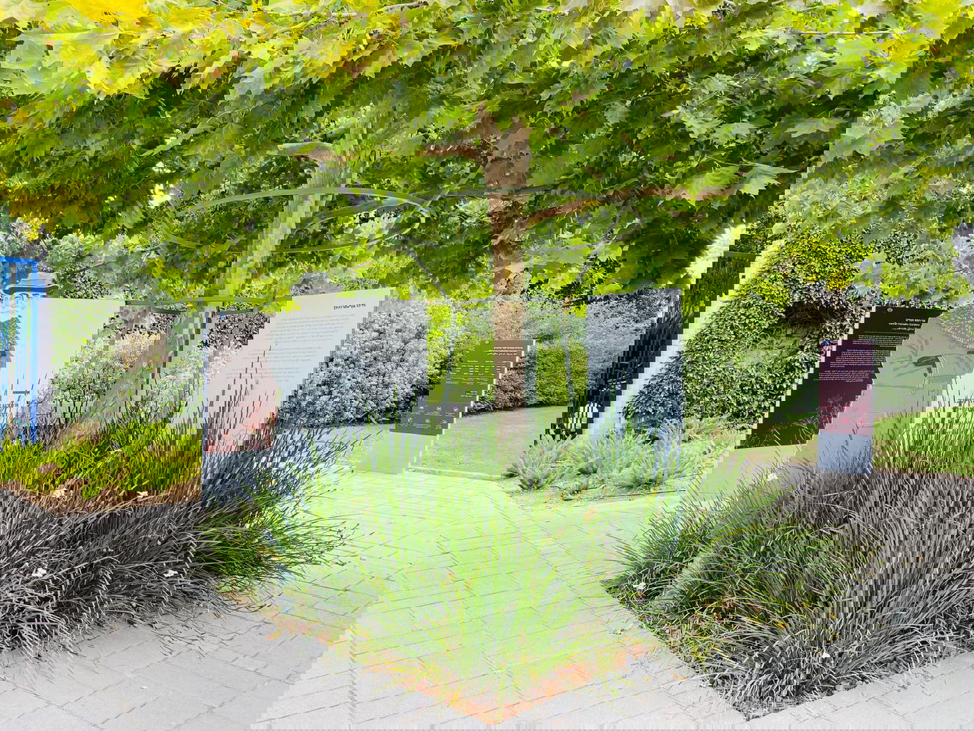 גלריה מרהיבה מגן רמת הנדיב בזכרון יעקב