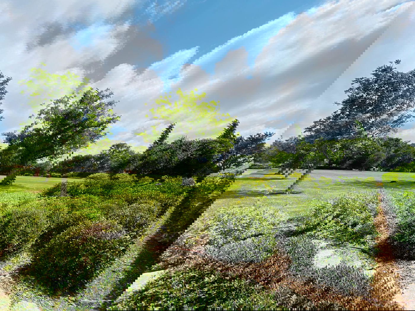 גלריה מרהיבה מגן רמת הנדיב בזכרון יעקב