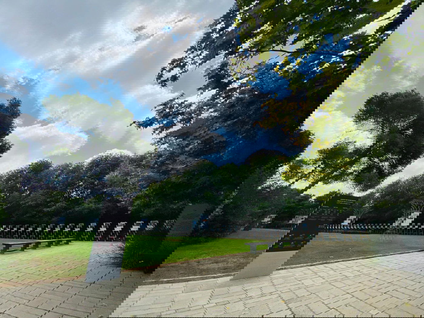 גלריה מרהיבה מגן רמת הנדיב בזכרון יעקב