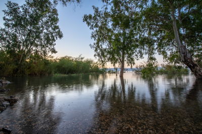 זריחה בכנרת