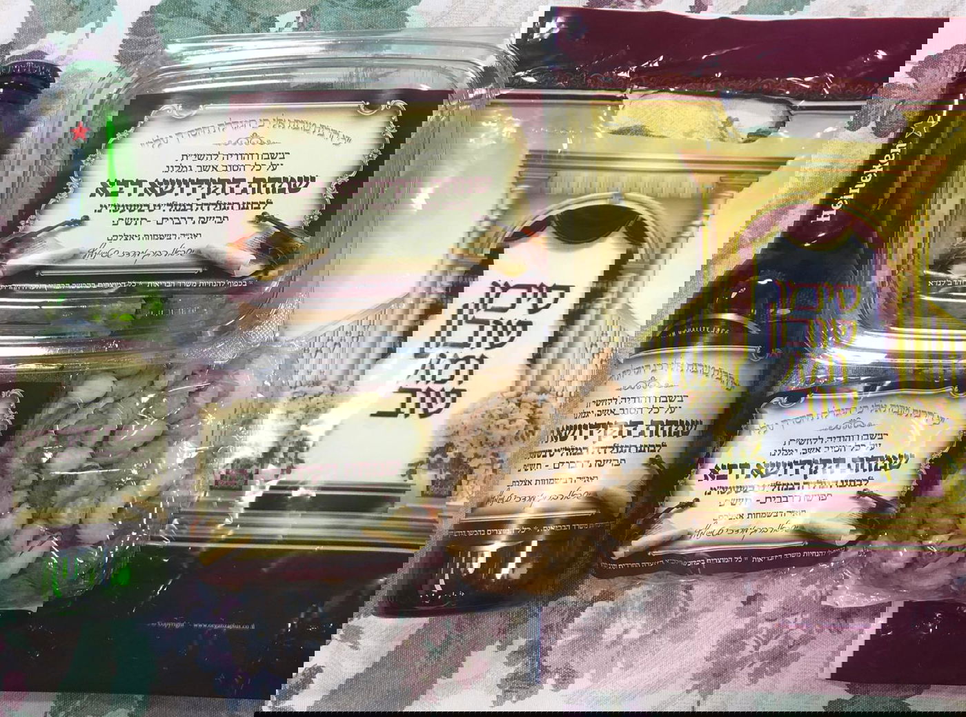 זופניק בכיכר • כל התמונות והנייעס של השבוע