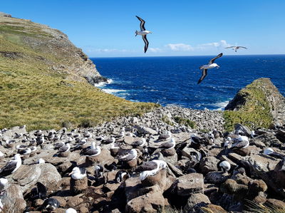 התחזית: התחממות- ואז הקלה בעומס החום