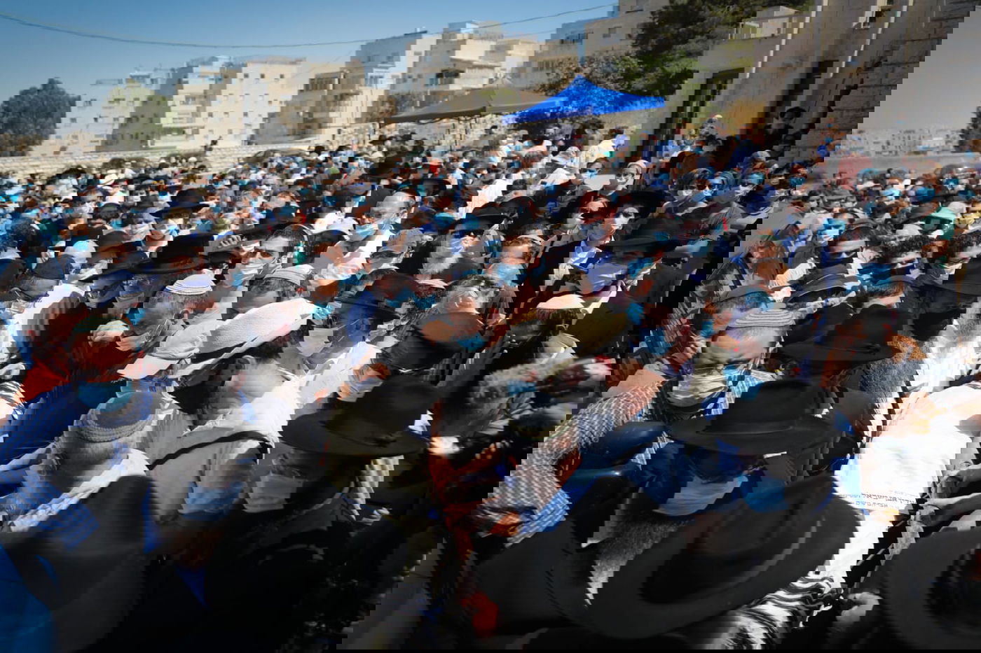 הנגיש את התורה: הגה"ח הרב שטיינזלץ נטמן בהר הזיתים