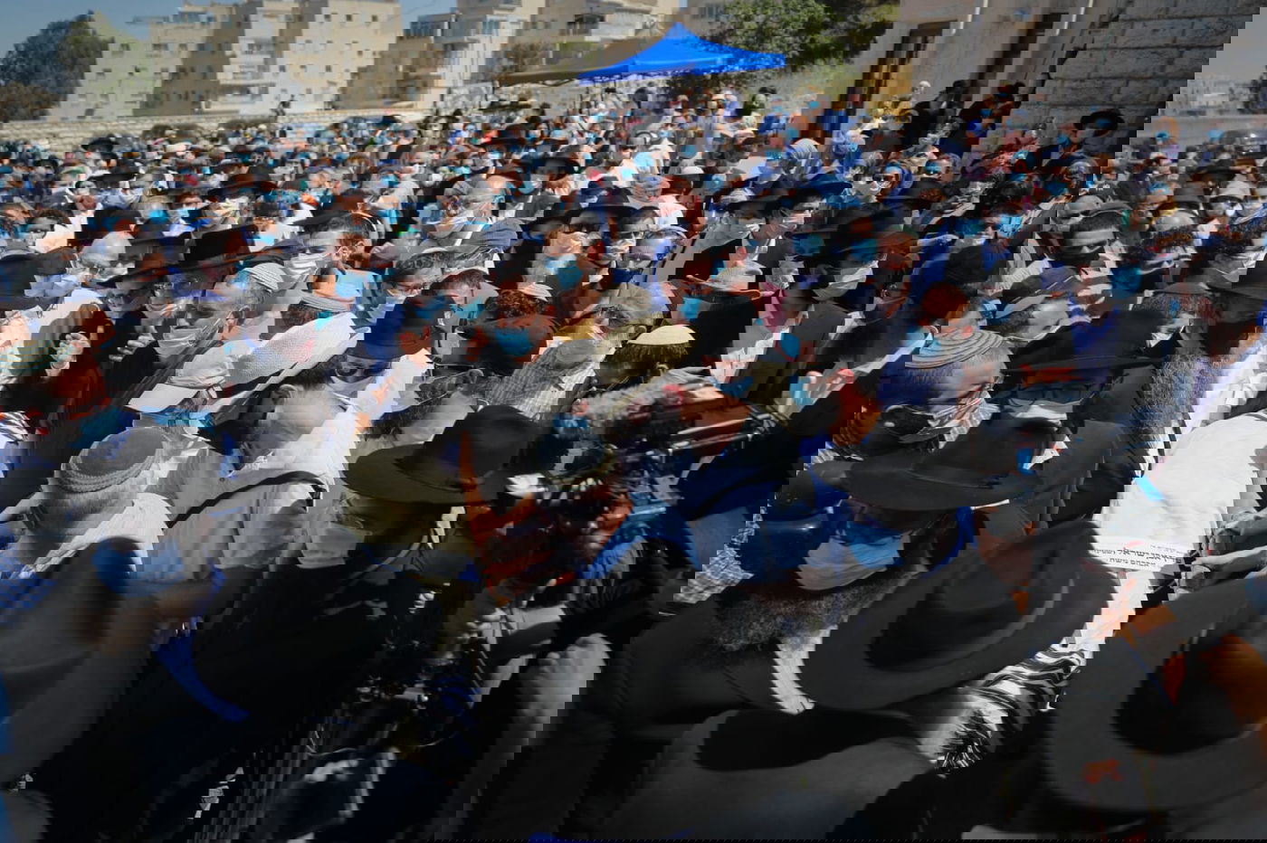 הנגיש את התורה: הגה"ח הרב שטיינזלץ נטמן בהר הזיתים