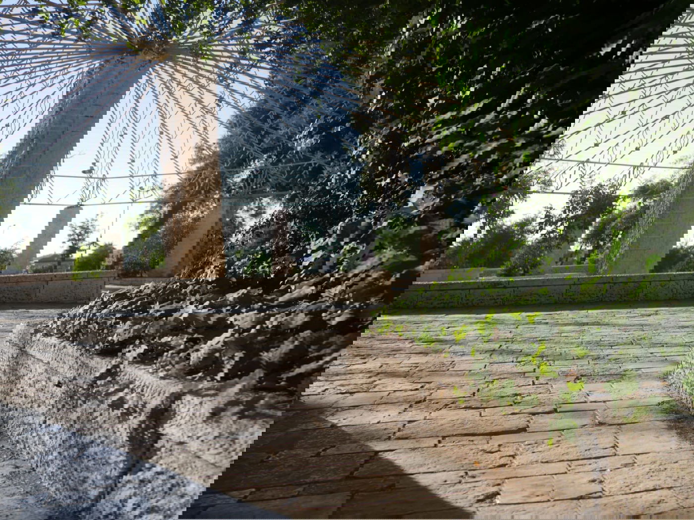 סיור שונה בשכונה הציורית 'ימין משה' • צפו