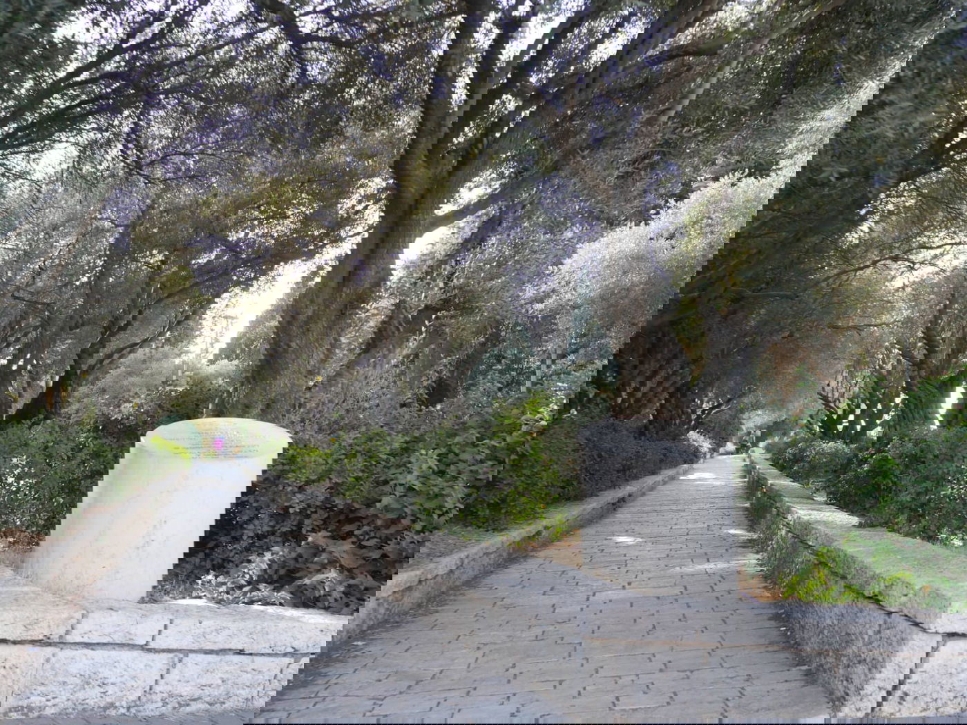 סיור שונה בשכונה הציורית 'ימין משה' • צפו