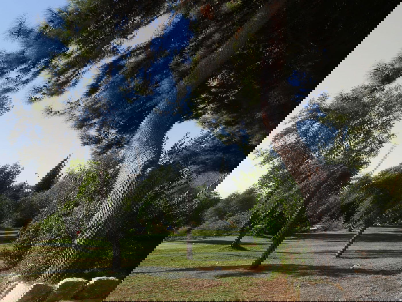 סיור שונה בשכונה הציורית 'ימין משה' • צפו