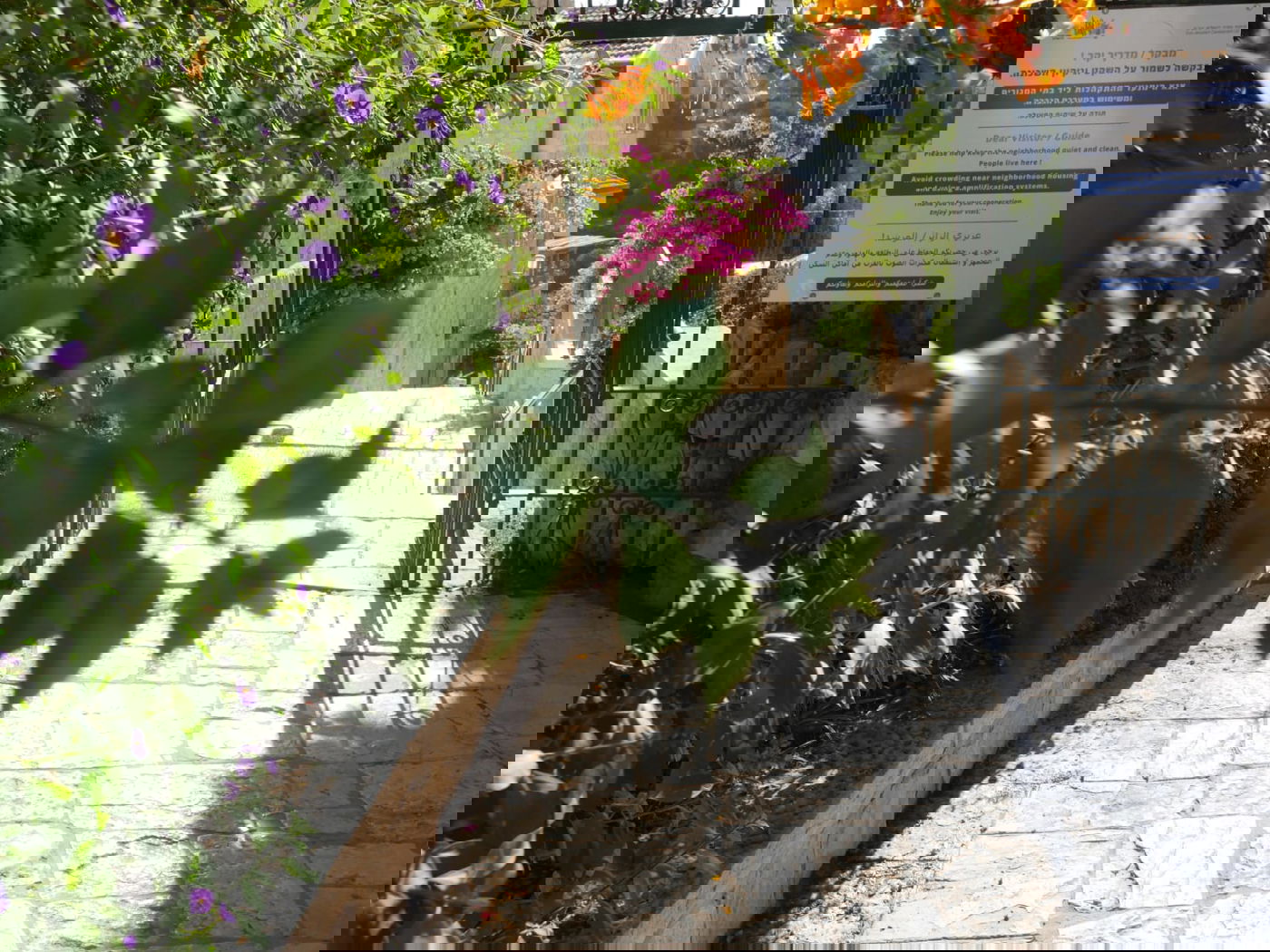 סיור שונה בשכונה הציורית 'ימין משה' • צפו