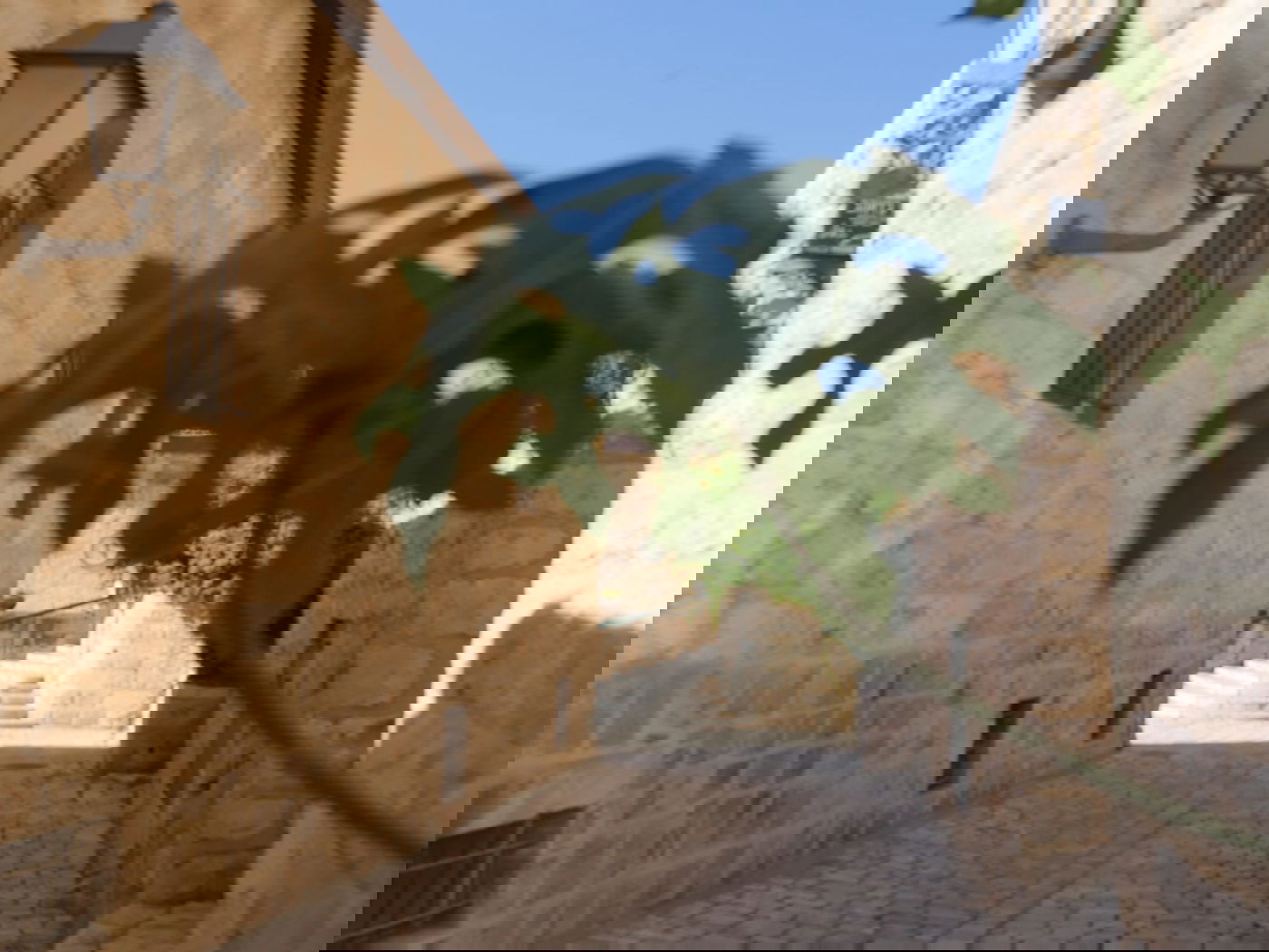 סיור שונה בשכונה הציורית 'ימין משה' • צפו