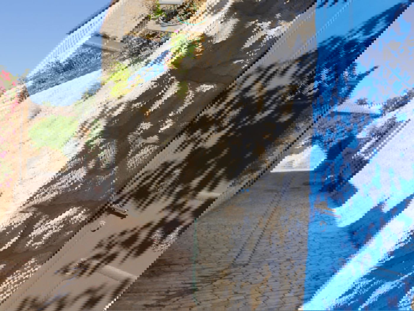 סיור שונה בשכונה הציורית 'ימין משה' • צפו