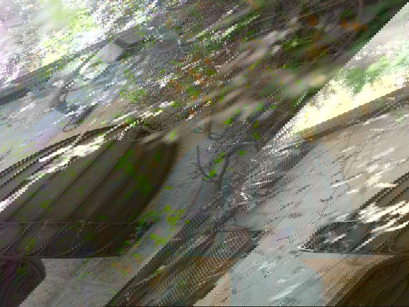 סיור שונה בשכונה הציורית 'ימין משה' • צפו