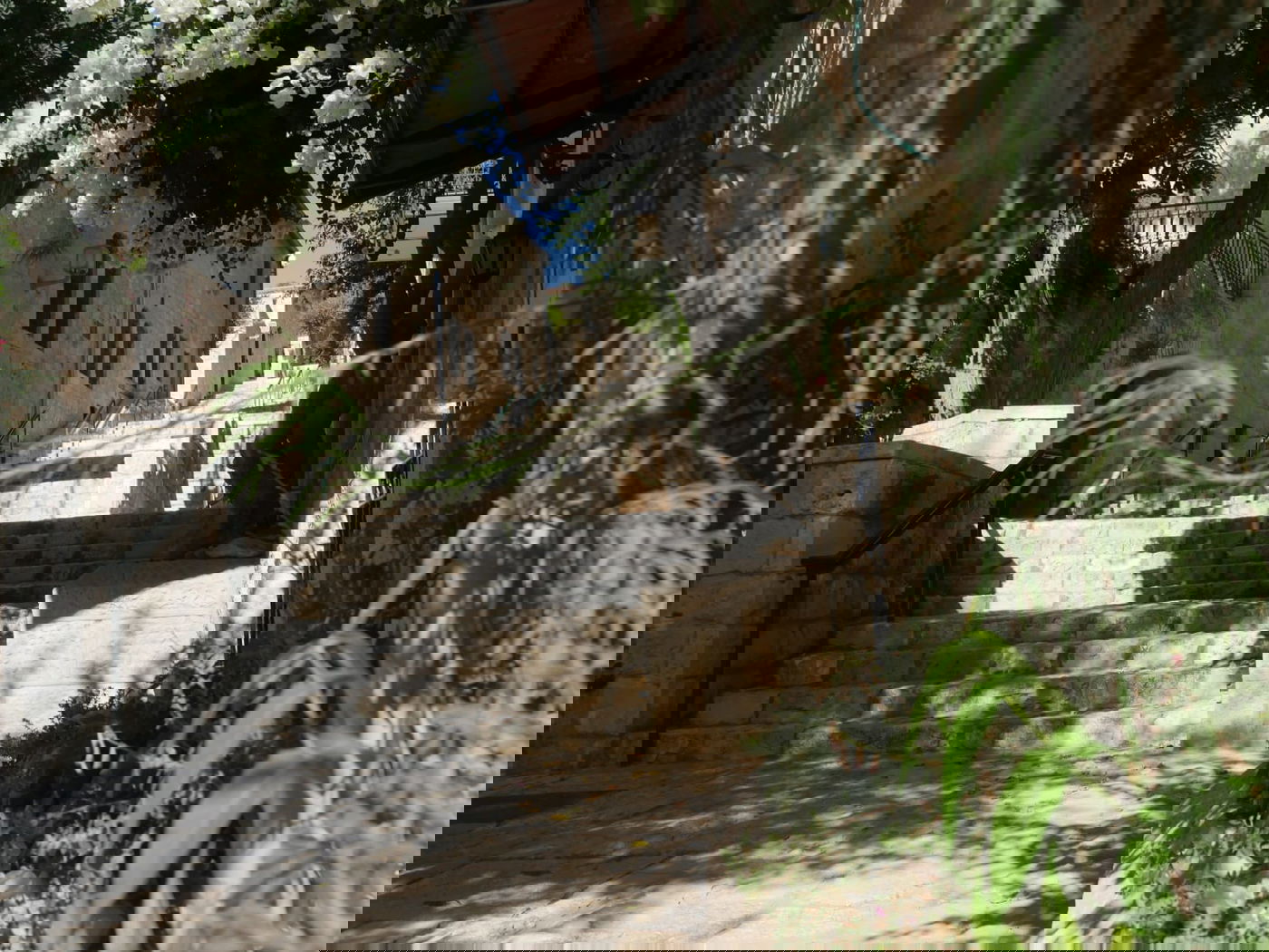 סיור שונה בשכונה הציורית 'ימין משה' • צפו