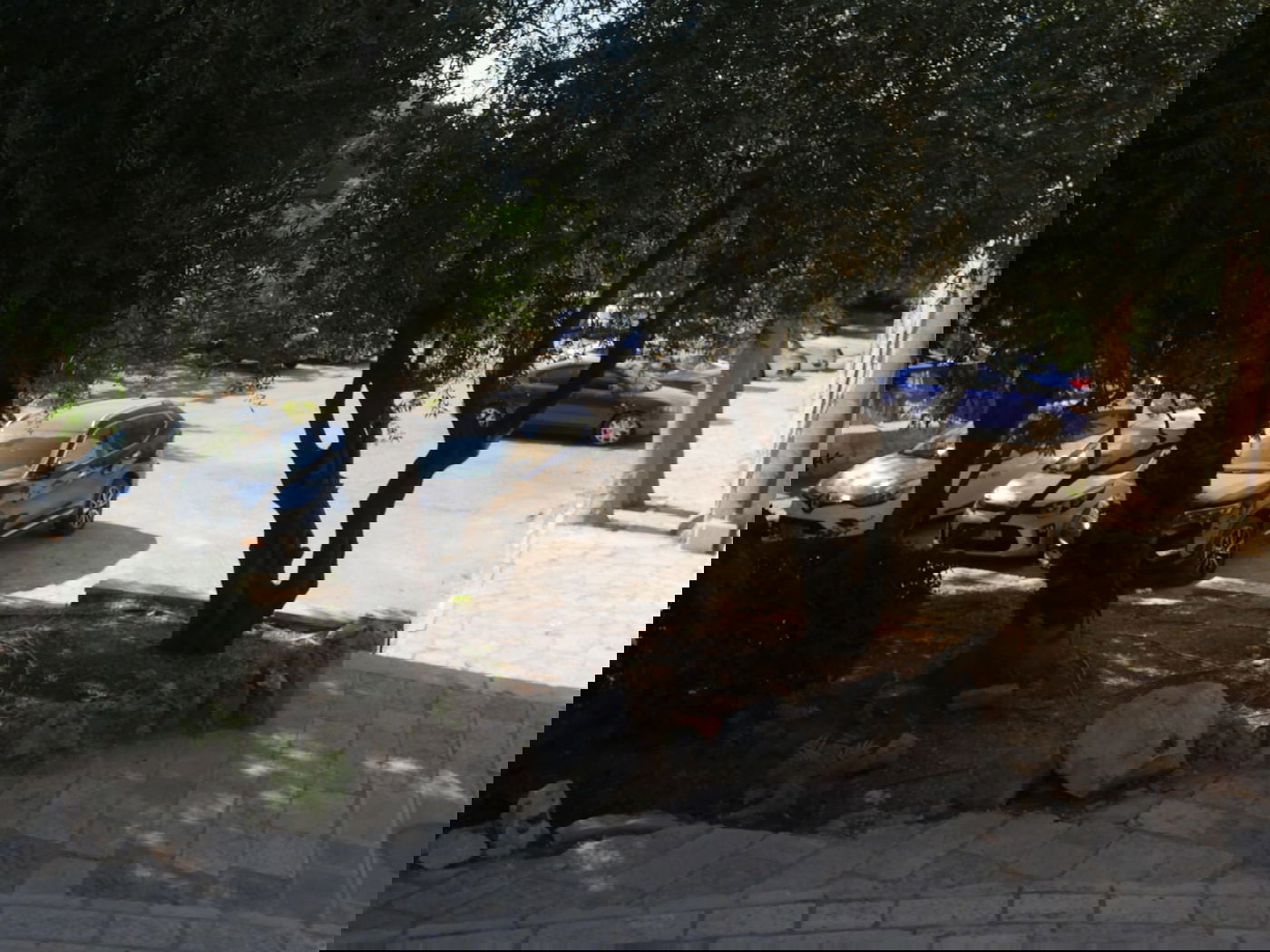 סיור שונה בשכונה הציורית 'ימין משה' • צפו