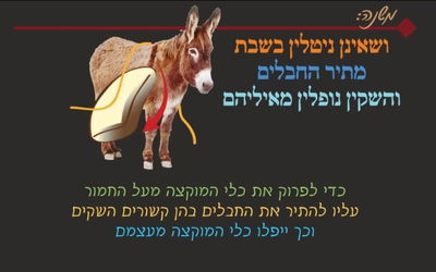 הדף היומי: מסכת שבת, דף קנ"ד • סיכום והמחשה