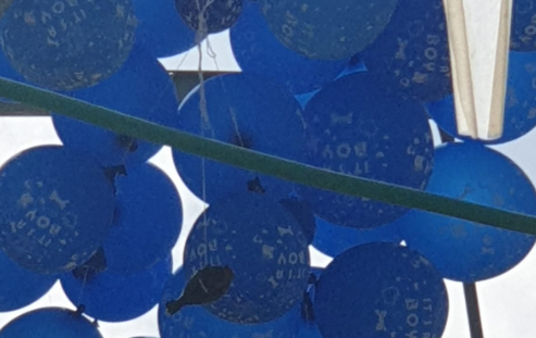 בלוני תבערה