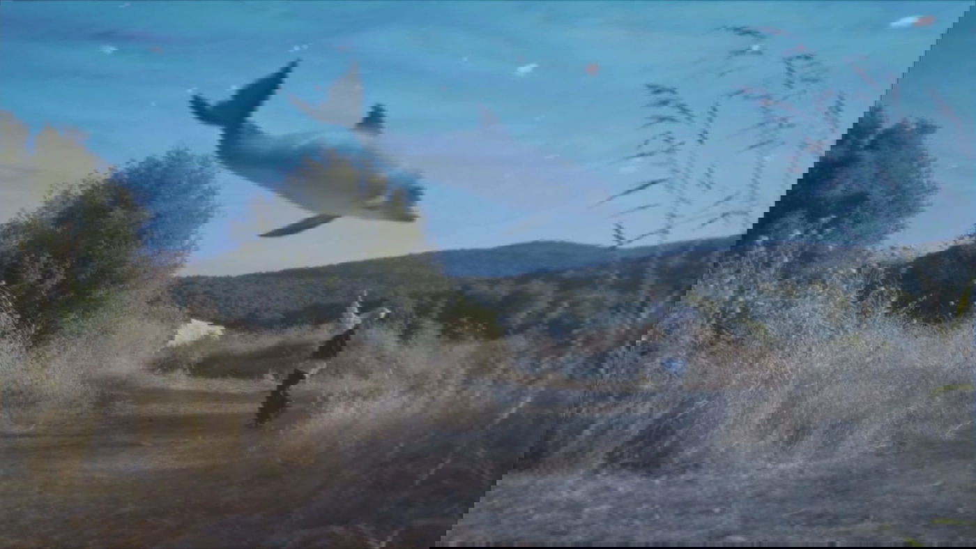 הסדרה שתפענח את סוד קסמו של רבי נחמן