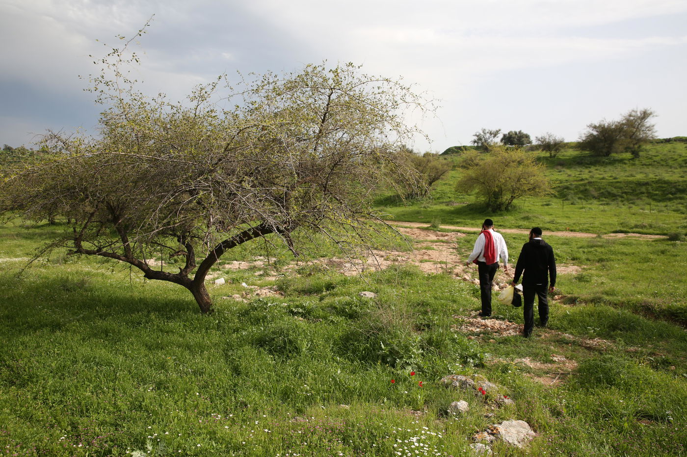 מטיילים בצפון