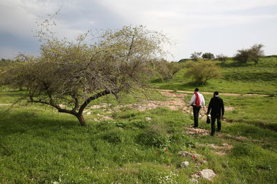 מטיילים בצפון