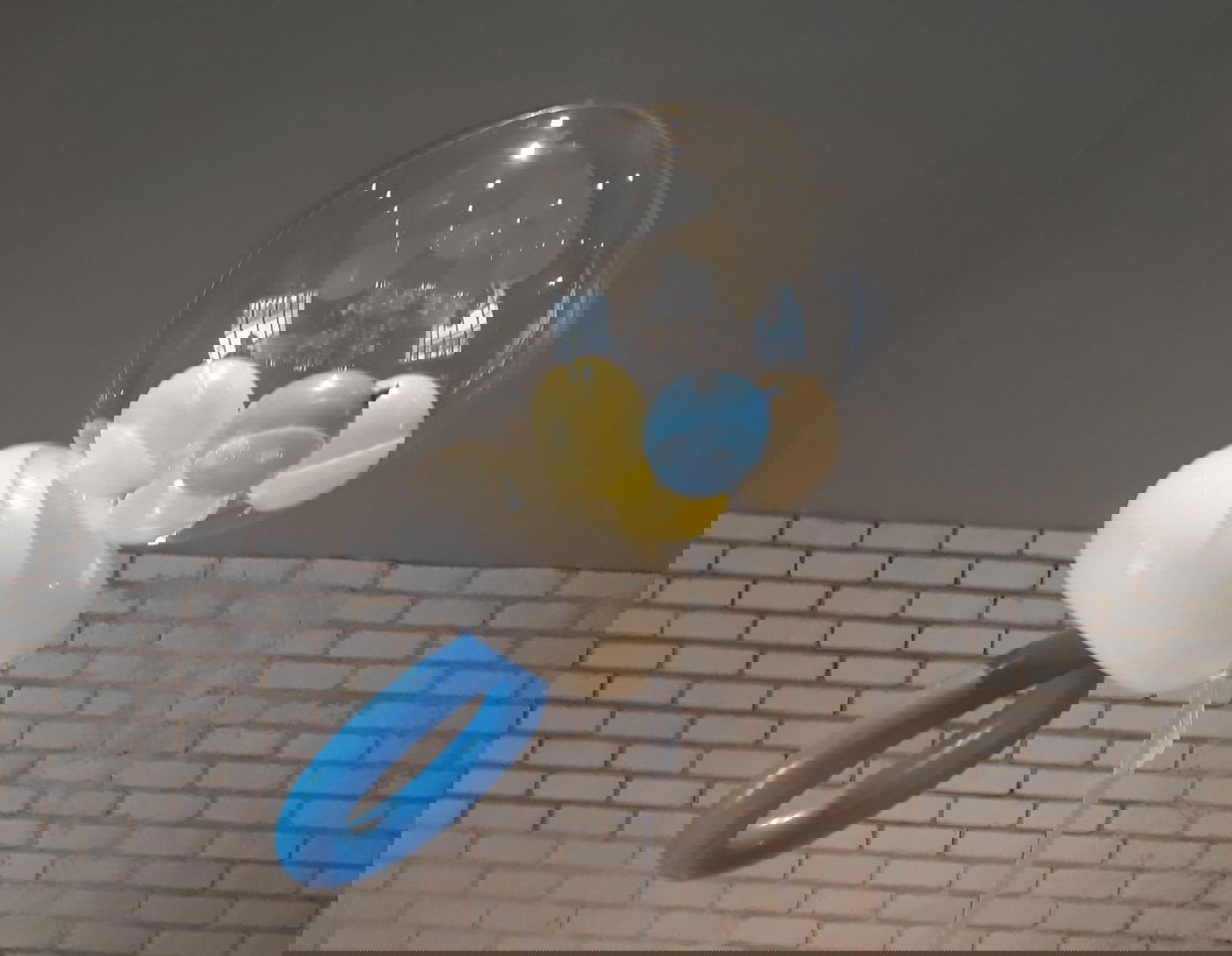 אלישבע בכיכר מארחת: אלי פרקש - מאסטר בעיצוב בלונים