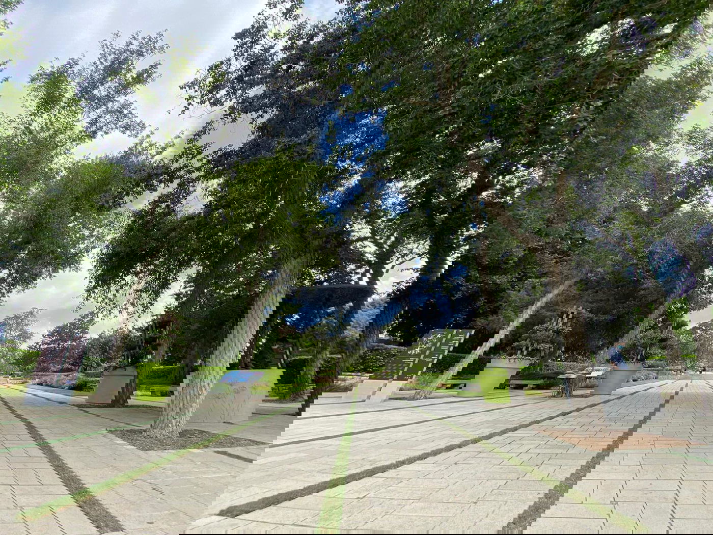 אילוסטרציה