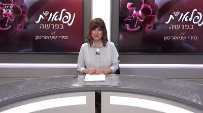 ניהול אולפן: יוחנן בלייך