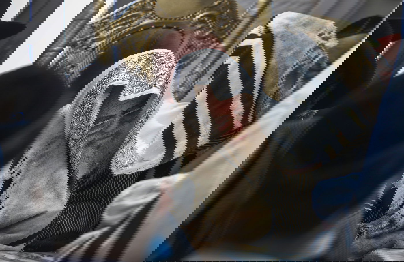 האדמו"ר מתולדות אהרן שימש סנדק בברית במירון