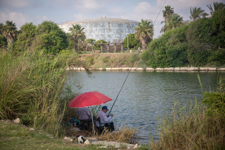פארק הירקון
