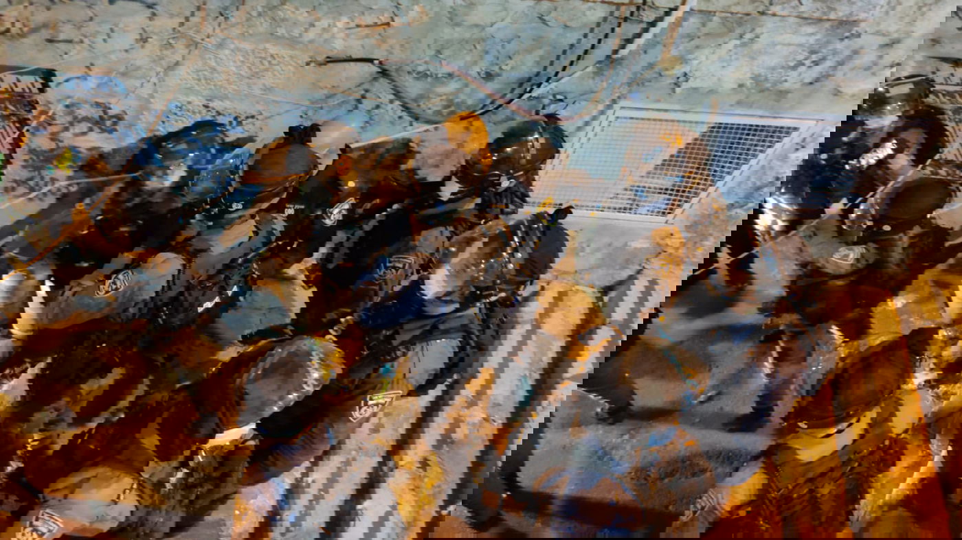 באישון לילה: שוטרים פשטו על ביתו של ישראל מאיר הירש