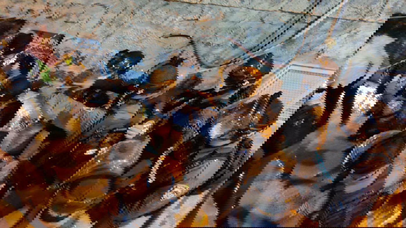 באישון לילה: שוטרים פשטו על ביתו של ישראל מאיר הירש