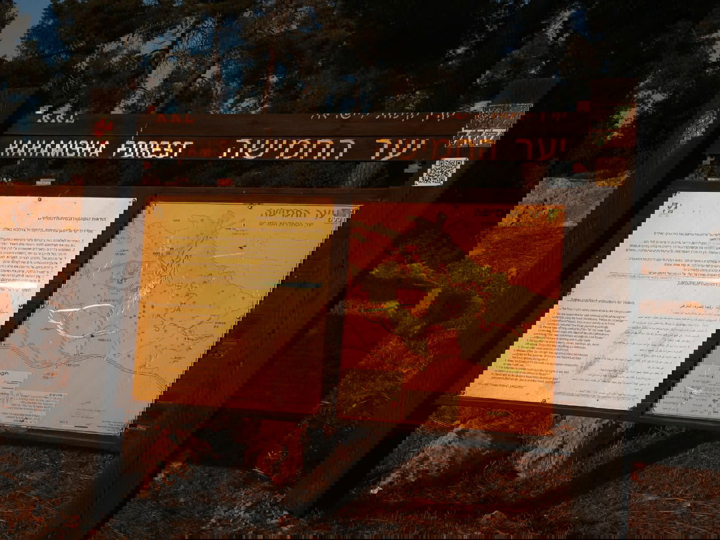 כשישראל שפירא ביקר באנדרטה על-שם ישראל שפירא