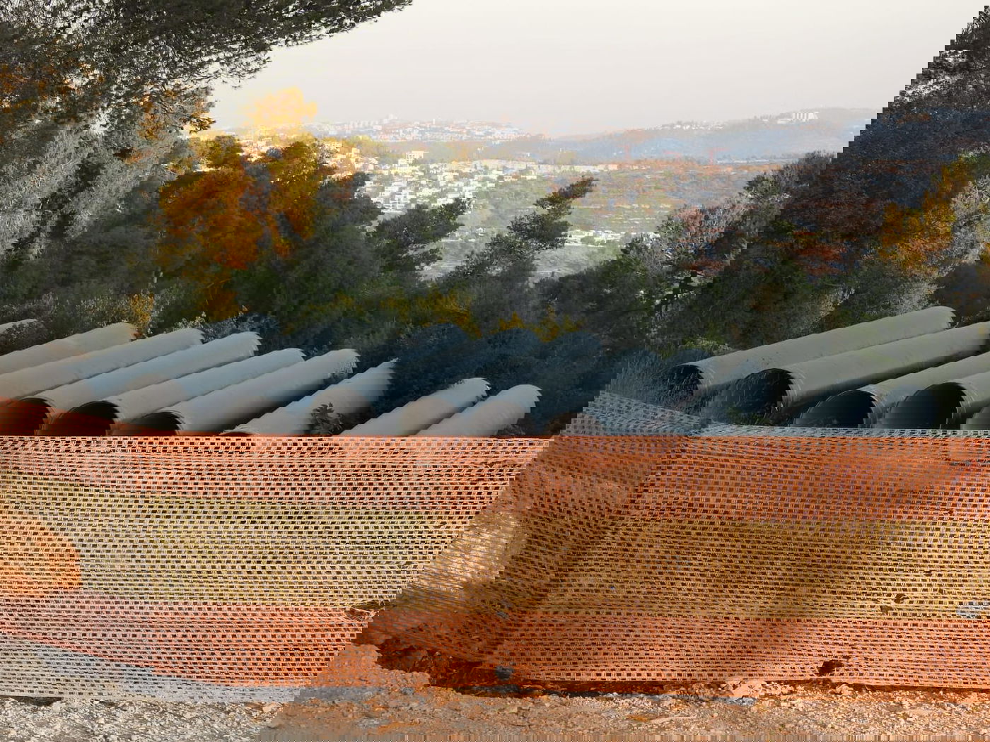 כשישראל שפירא ביקר באנדרטה על-שם ישראל שפירא