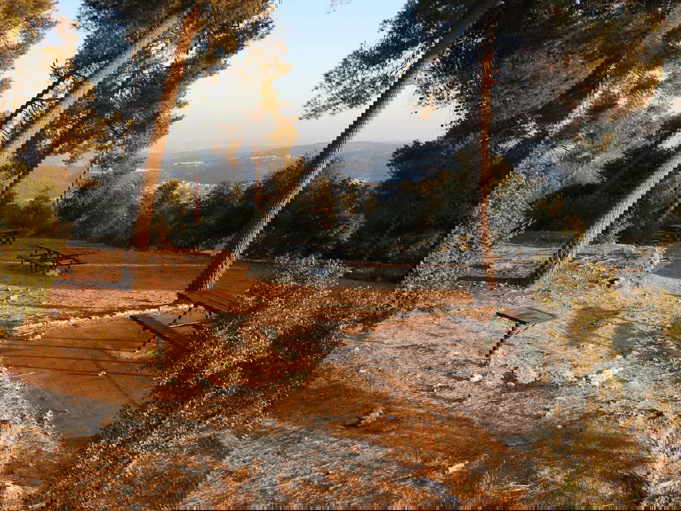 כשישראל שפירא ביקר באנדרטה על-שם ישראל שפירא