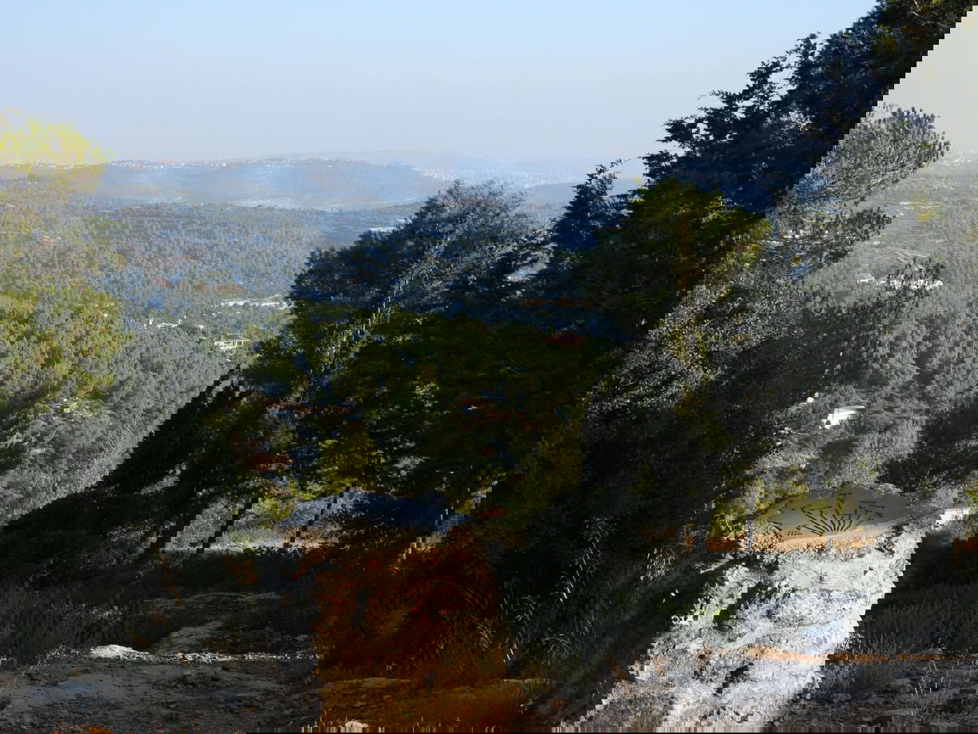 כשישראל שפירא ביקר באנדרטה על-שם ישראל שפירא