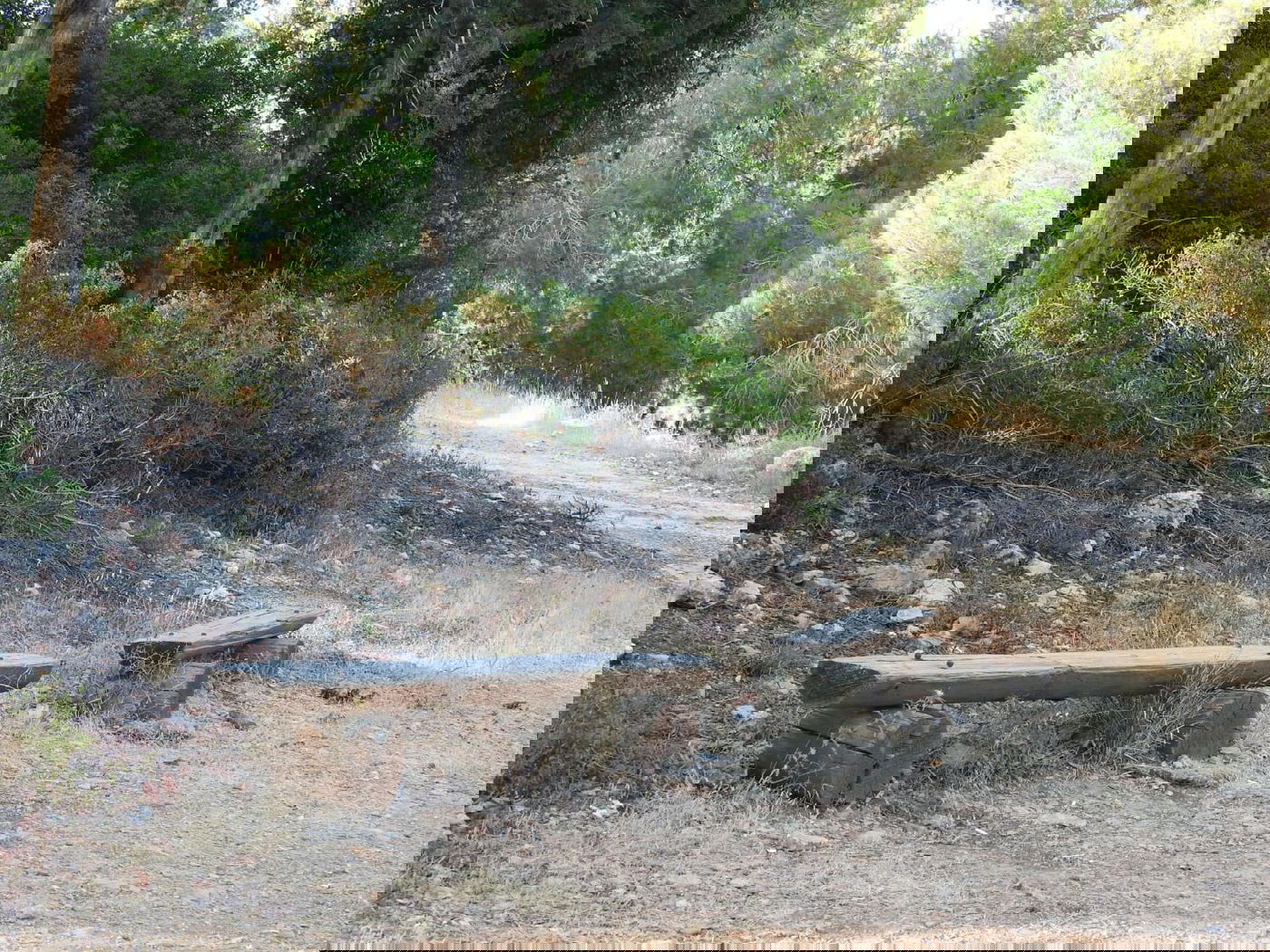 כשישראל שפירא ביקר באנדרטה על-שם ישראל שפירא