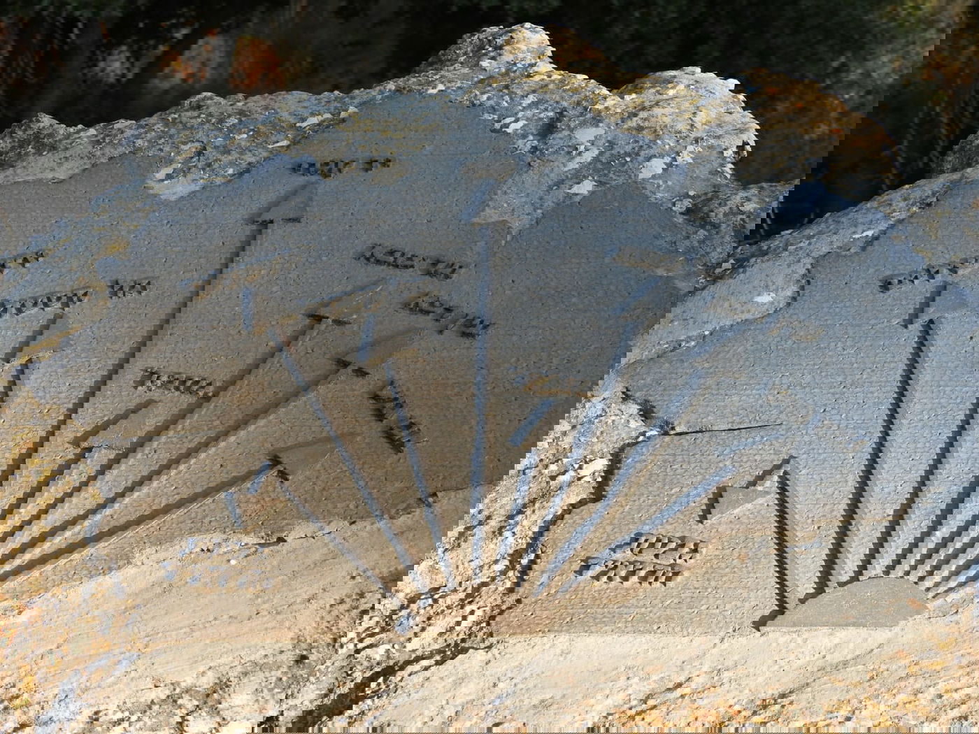 כשישראל שפירא ביקר באנדרטה על-שם ישראל שפירא