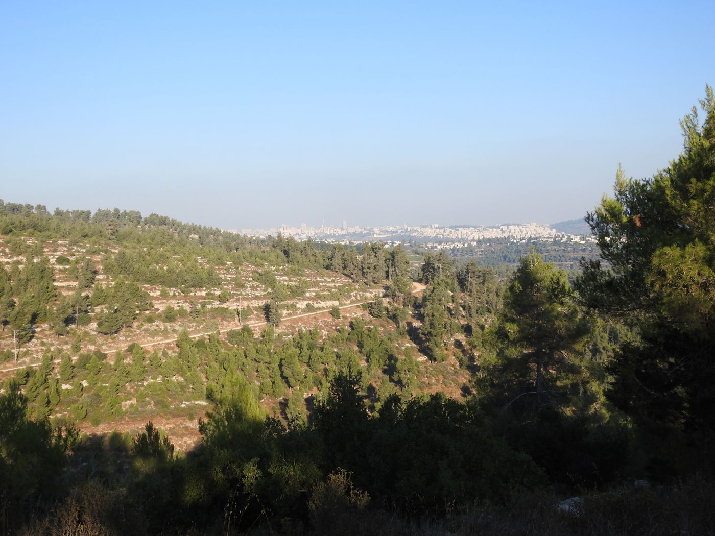 כשישראל שפירא ביקר באנדרטה על-שם ישראל שפירא