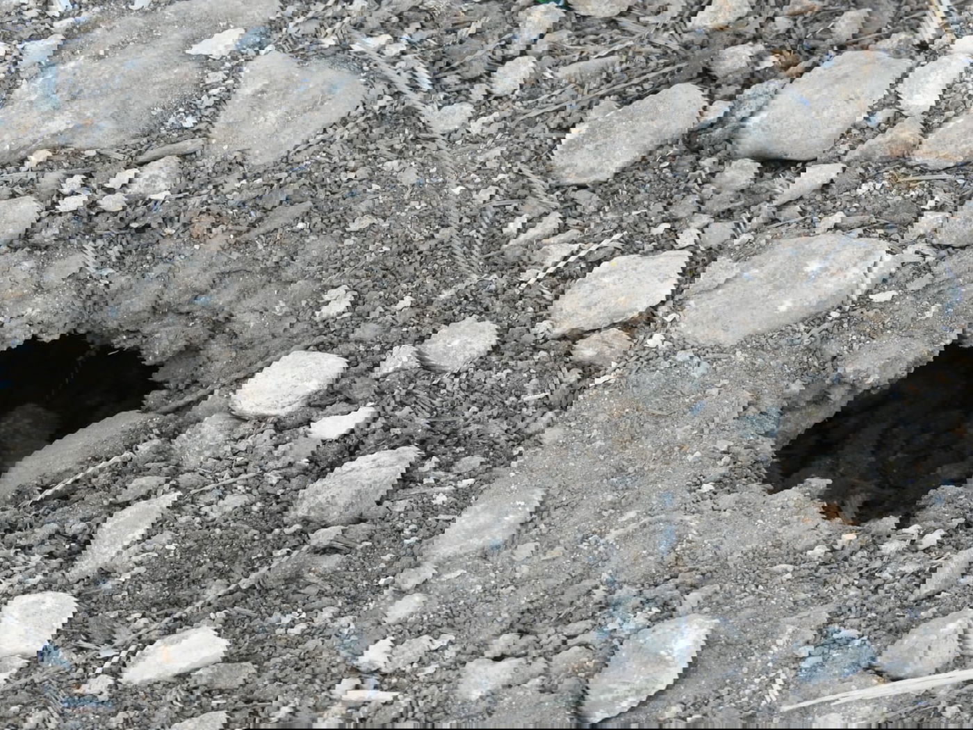 כשישראל שפירא ביקר באנדרטה על-שם ישראל שפירא