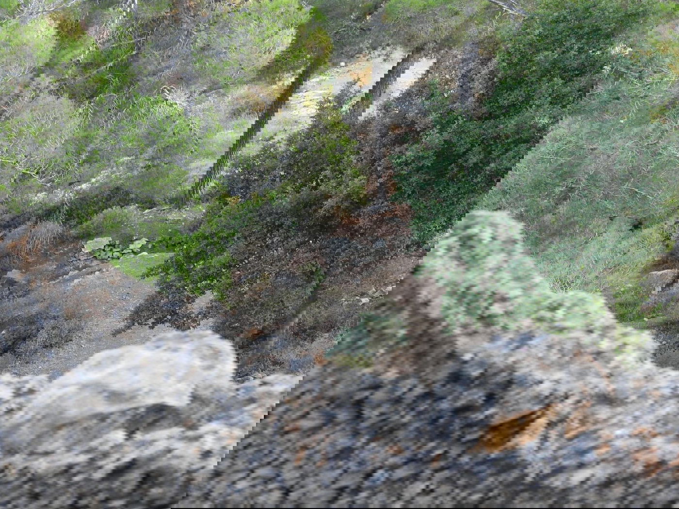 כשישראל שפירא ביקר באנדרטה על-שם ישראל שפירא