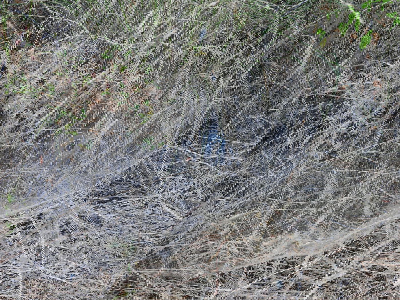 כשישראל שפירא ביקר באנדרטה על-שם ישראל שפירא