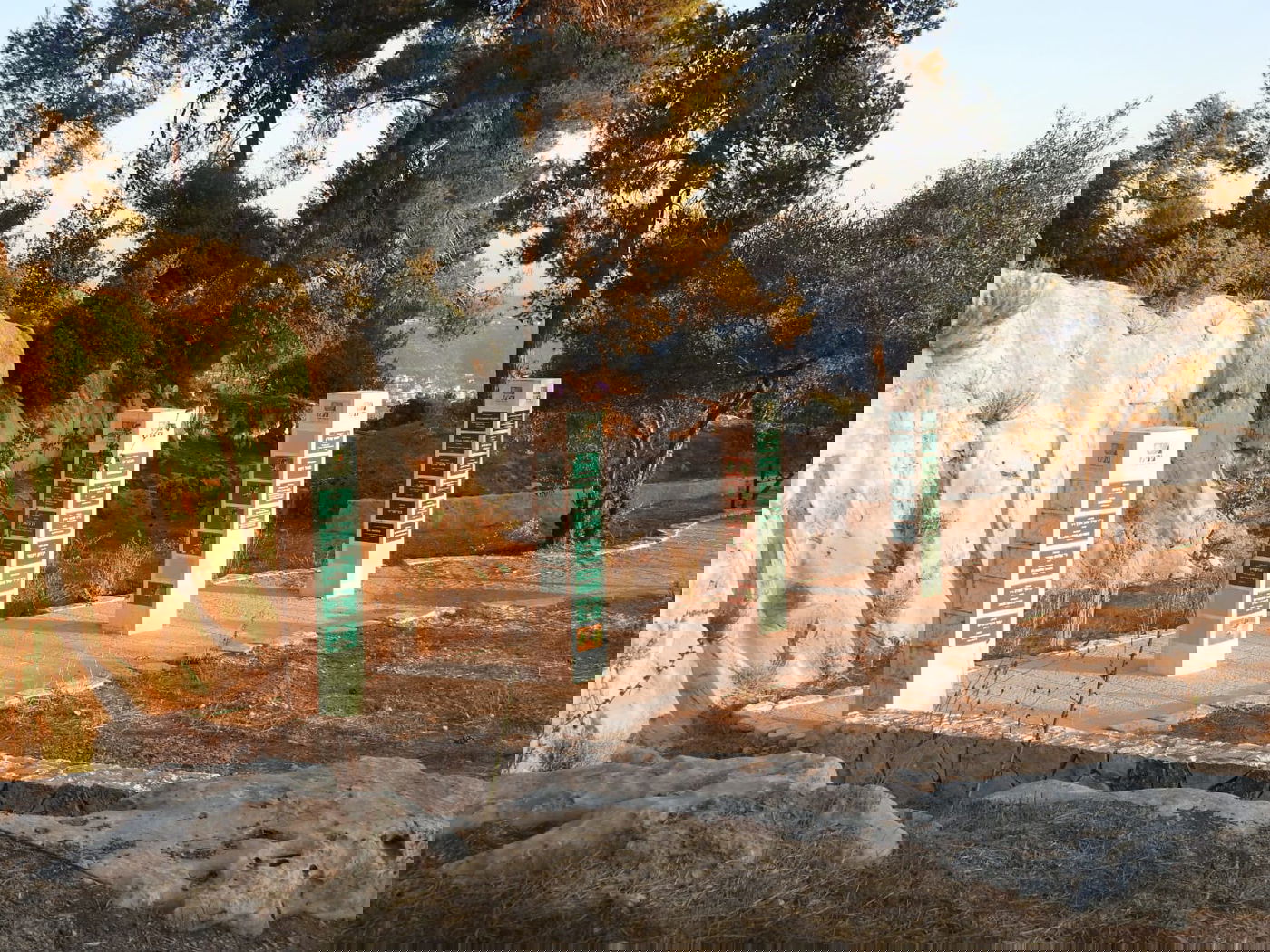 כשישראל שפירא ביקר באנדרטה על-שם ישראל שפירא