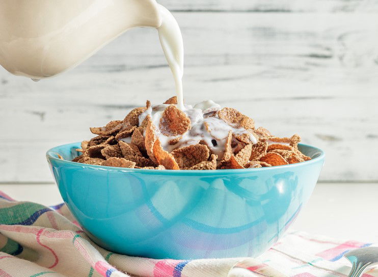 חלב שיבולת שועל ביתי