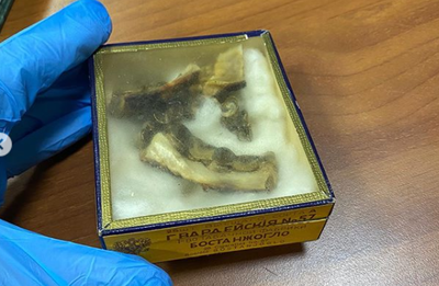 באינסטגרם: שרידיו של היטלר ימ"ש נחשפו