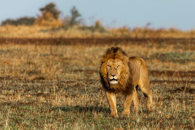 טיול דרך עדשת המצלמה לטנזניה המרהיבה