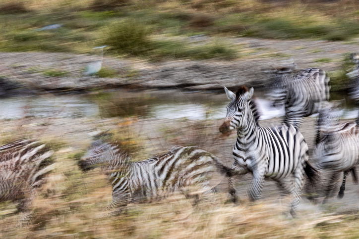 טיול דרך עדשת המצלמה לטנזניה המרהיבה