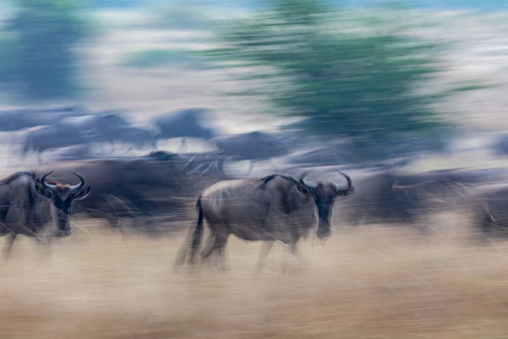 טיול דרך עדשת המצלמה לטנזניה המרהיבה