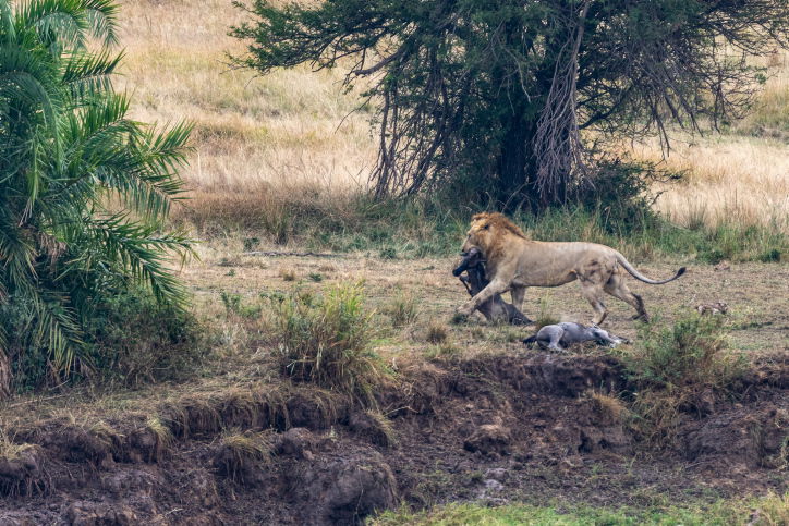 טיול דרך עדשת המצלמה לטנזניה המרהיבה