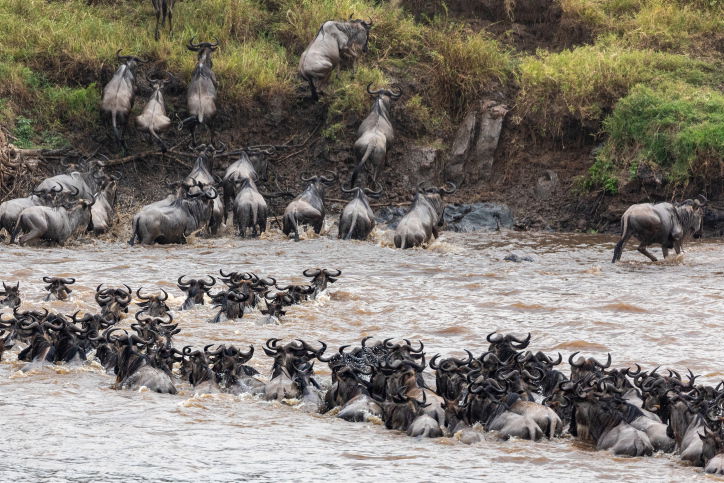 טיול דרך עדשת המצלמה לטנזניה המרהיבה