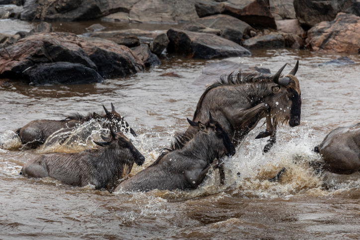 טיול דרך עדשת המצלמה לטנזניה המרהיבה
